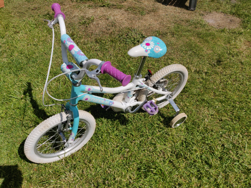 giant puddin 16 bike